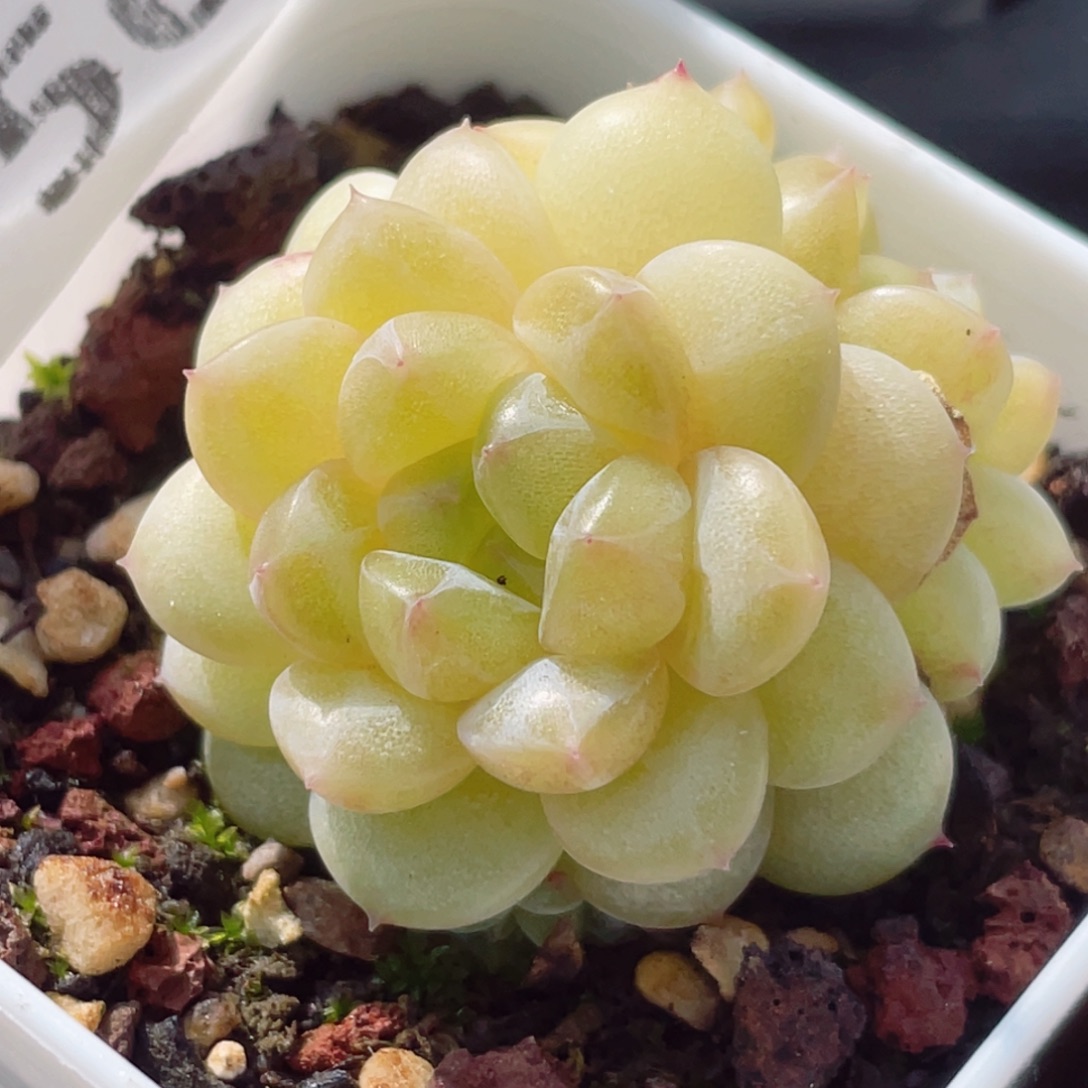 756要继续做更有实力最厉害