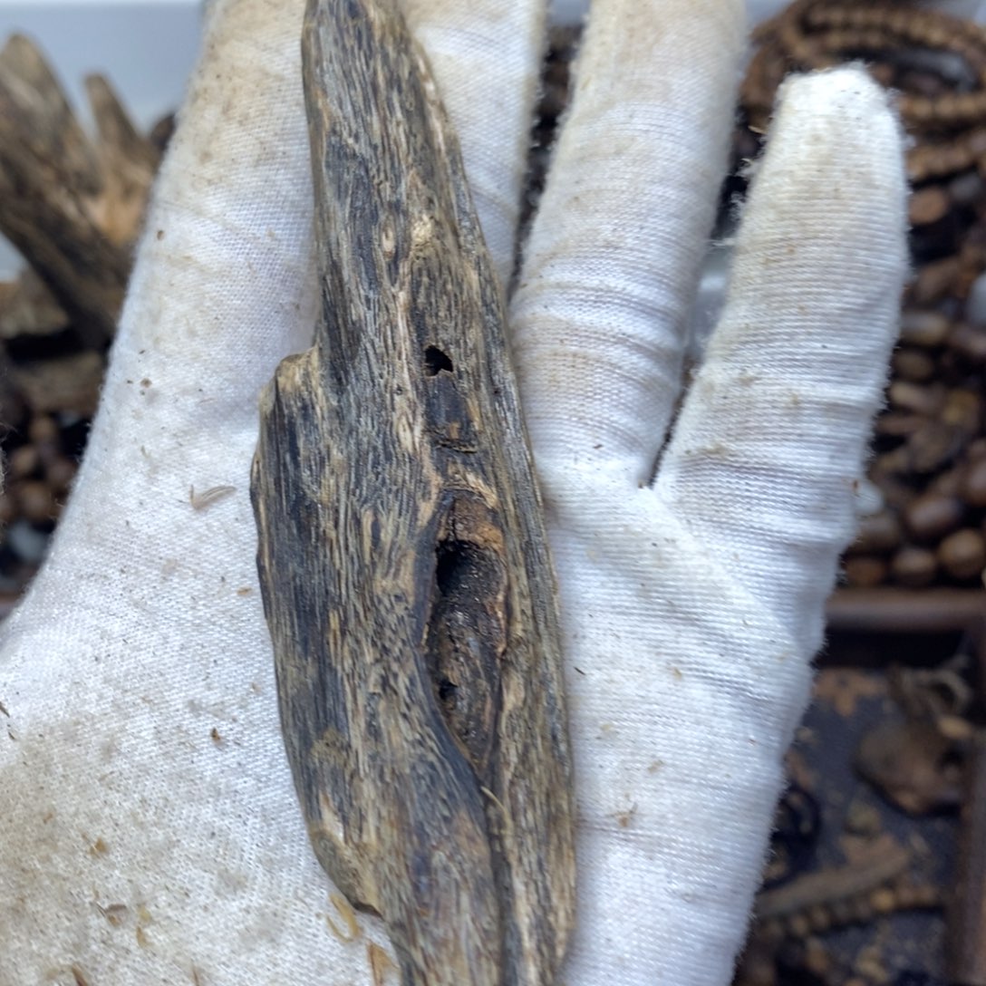 A***芒沉香碎屑沉香天然虫27