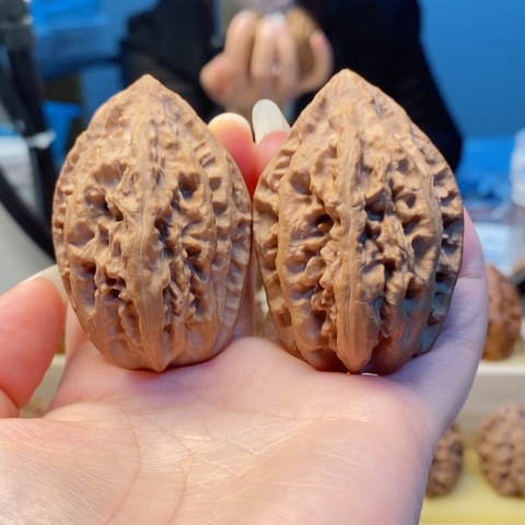 桃核把件周*星东北秋子