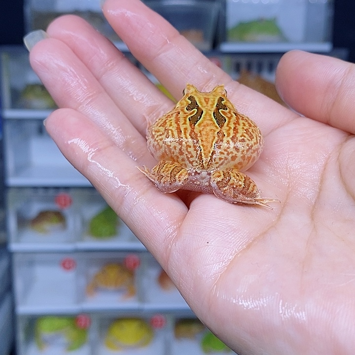 特价秒杀现货特价