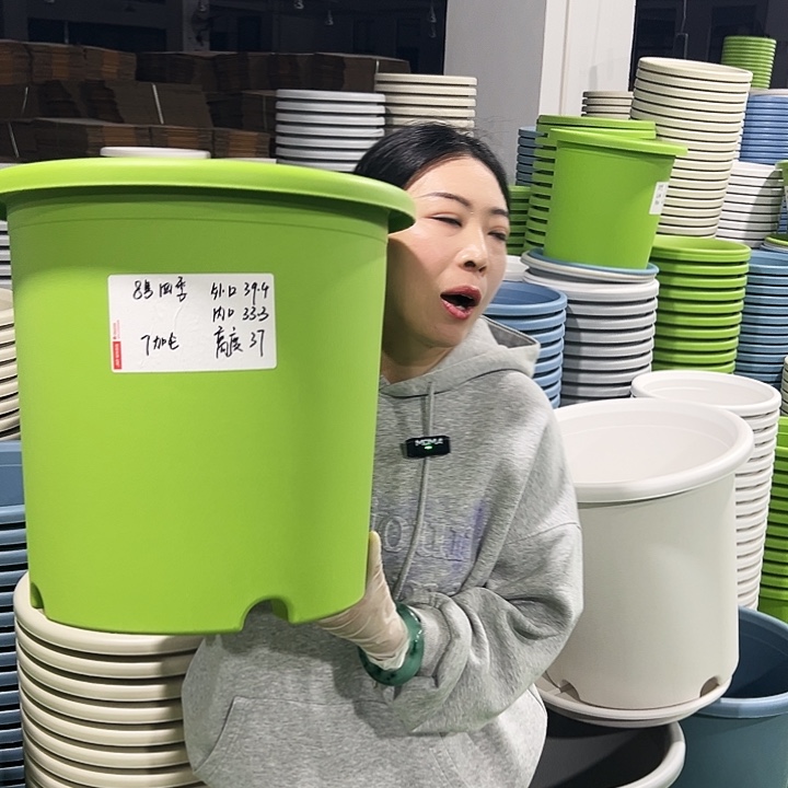 特价8号四季口39高37白色3只无托