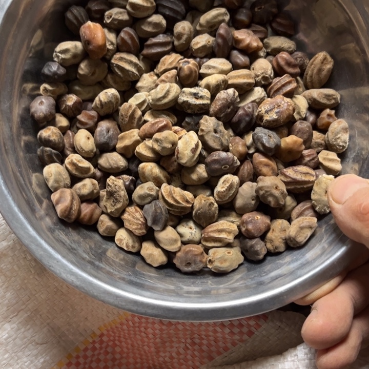 千眼菩提吊坠龙脊菩提半斤275