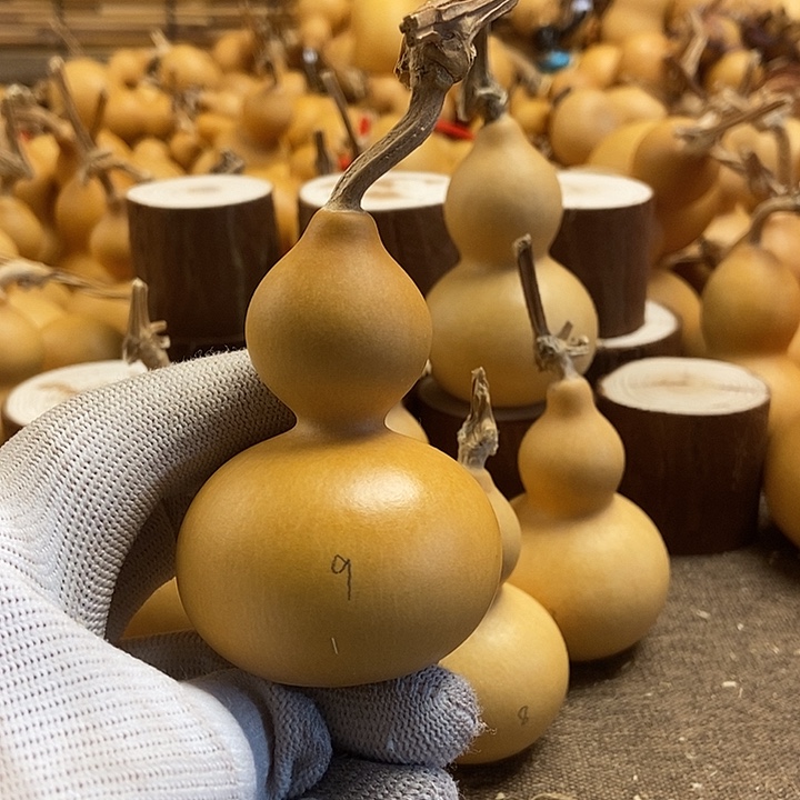 文玩葫芦 完美主义者 慎拍9