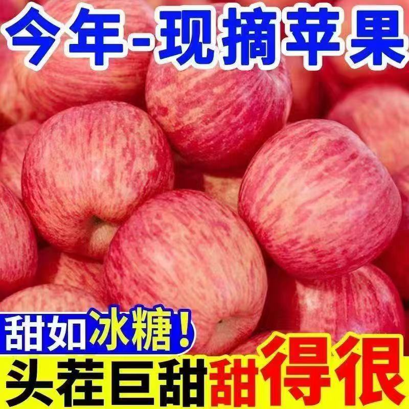正宗陕西红富士苹果新鲜脆甜多汁当季水果产地直发Q