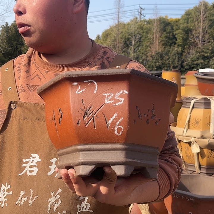 紫砂紫砂花盆盆栽