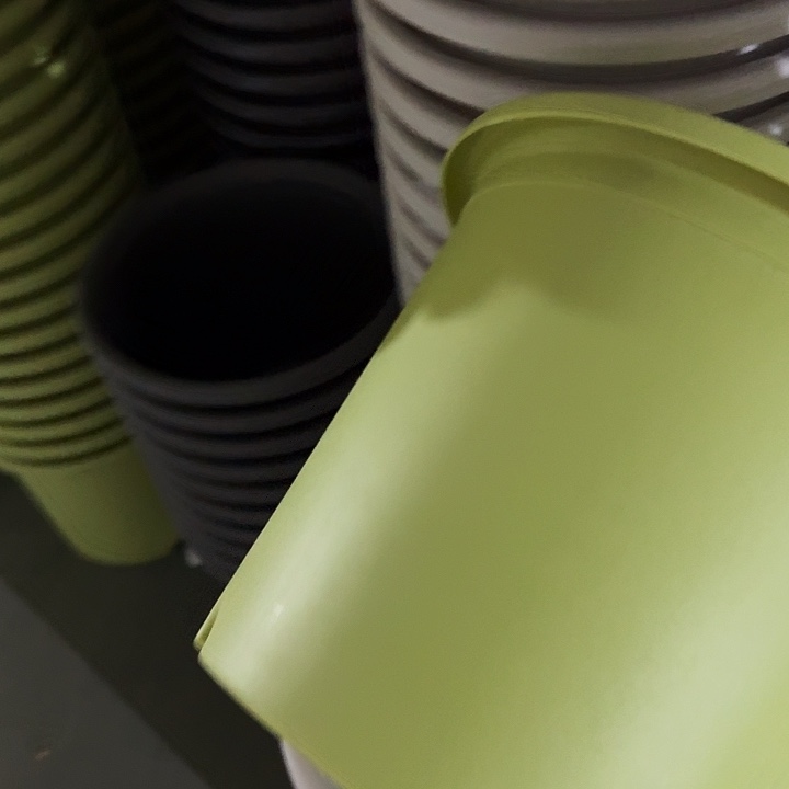 四季6号果绿无托7个特价