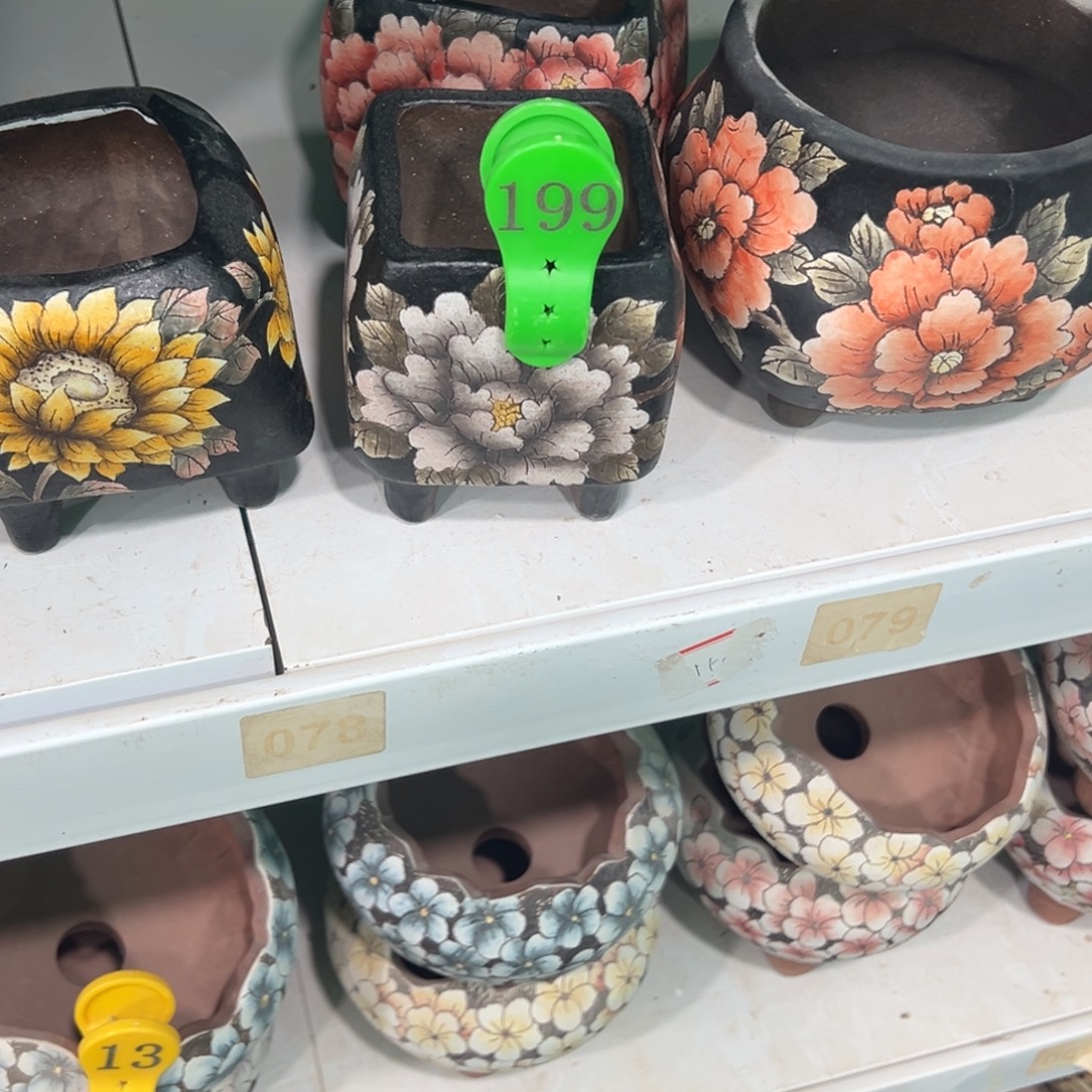 美***）天工造物手绘花盆199