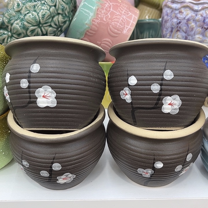 多肉植物花盆厂家批发