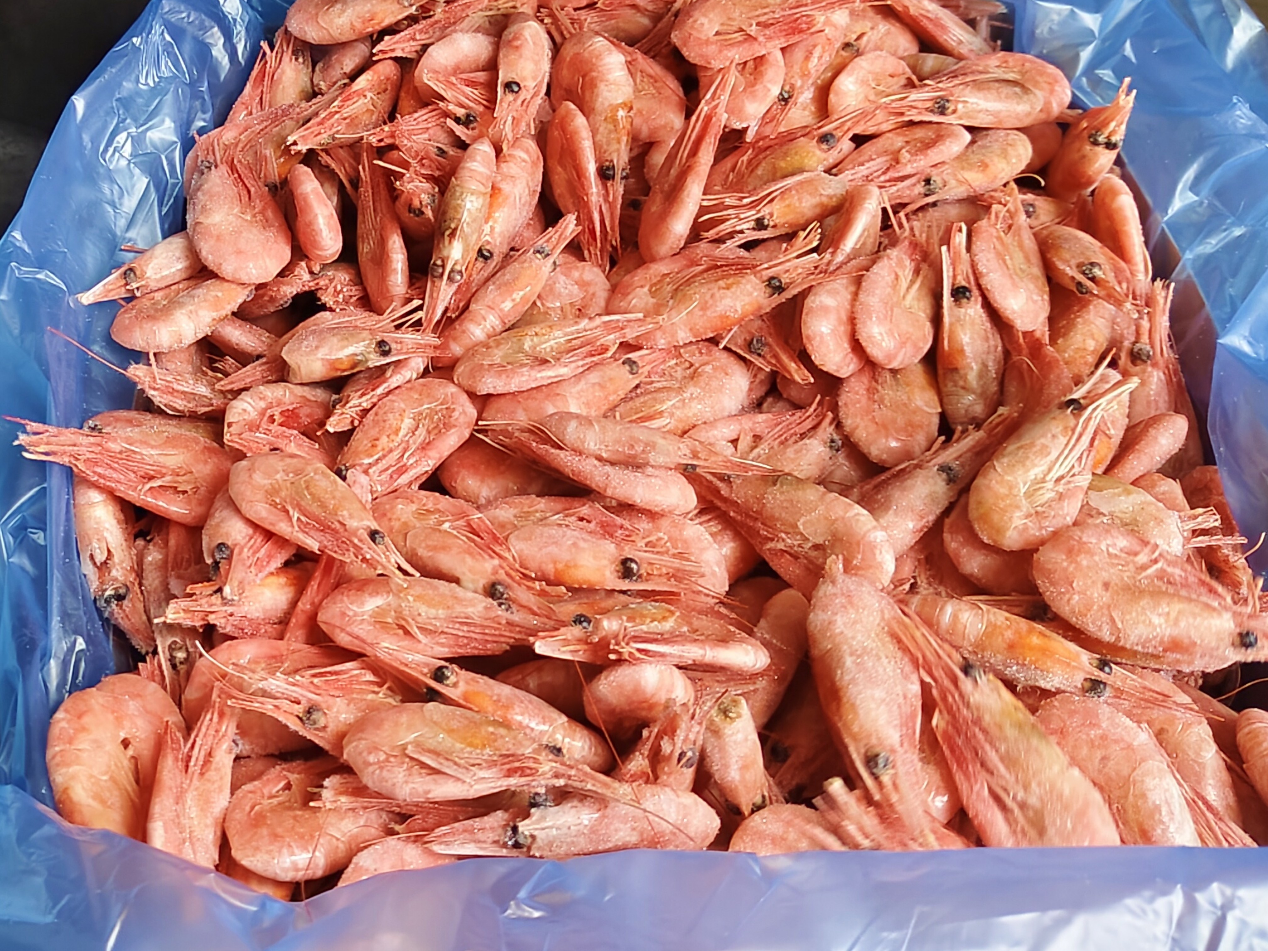 新货北极甜虾 头籽腹籽混精选 90/120规格 即食净重3斤