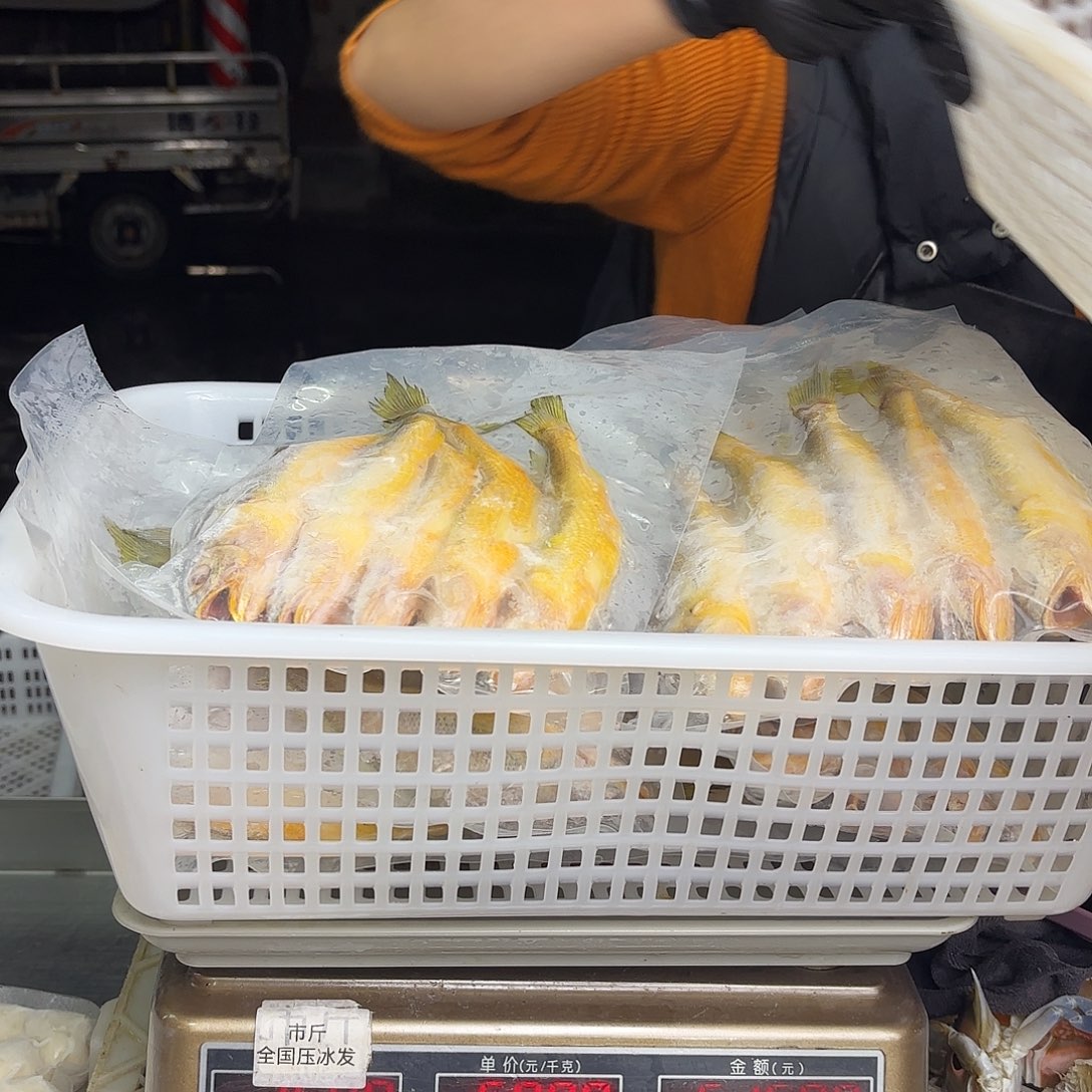 ****子中国大陆黄花鱼8888