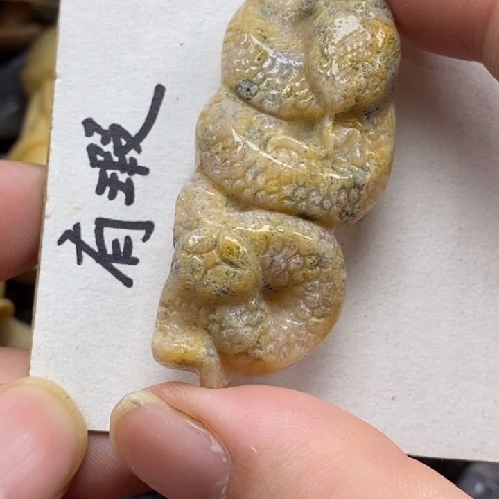 硅化珊瑚（珊瑚玉）未镶嵌颈饰