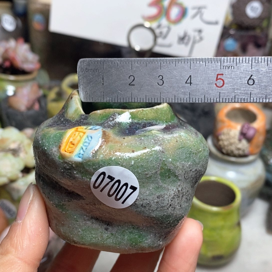 花盆拍3送一个小礼物