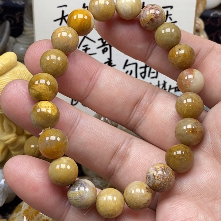 硅化珊瑚（珊瑚玉）未镶嵌颈饰