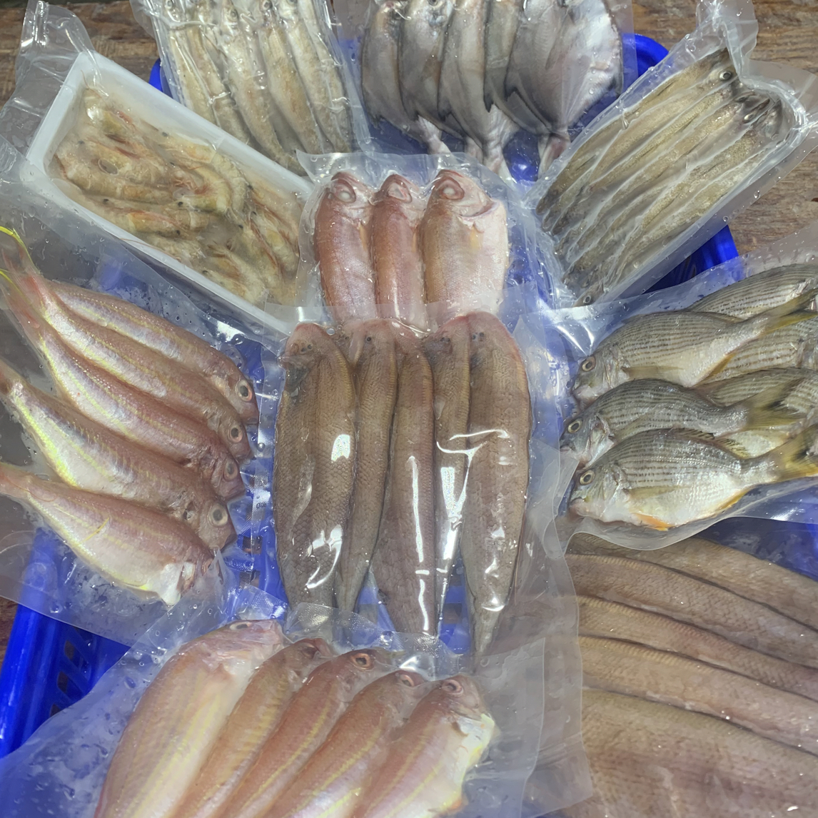 惠来神泉港鱼货套餐临时链接(以直播间讲解为主)顺丰冷链发货