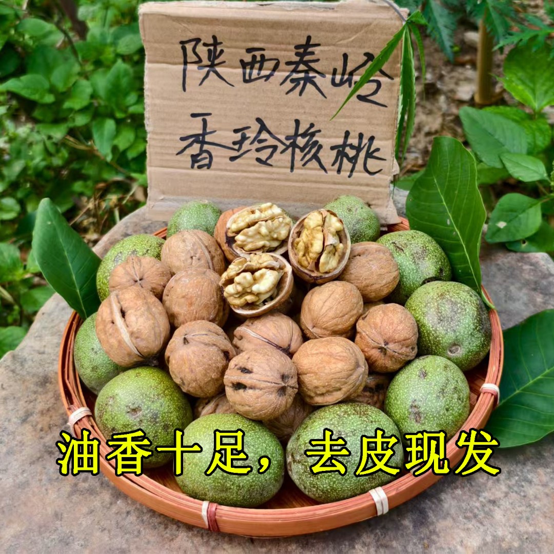 2025陕西新鲜湿核桃现摘去青皮香玲核桃油香儿童孕妇零食香菱核桃