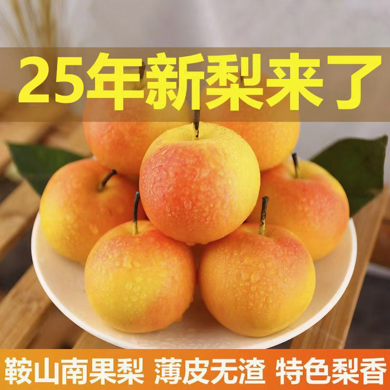 东北特产南果梨正宗产地直销孕妇水果自产自销香水梨新鲜香甜多汁