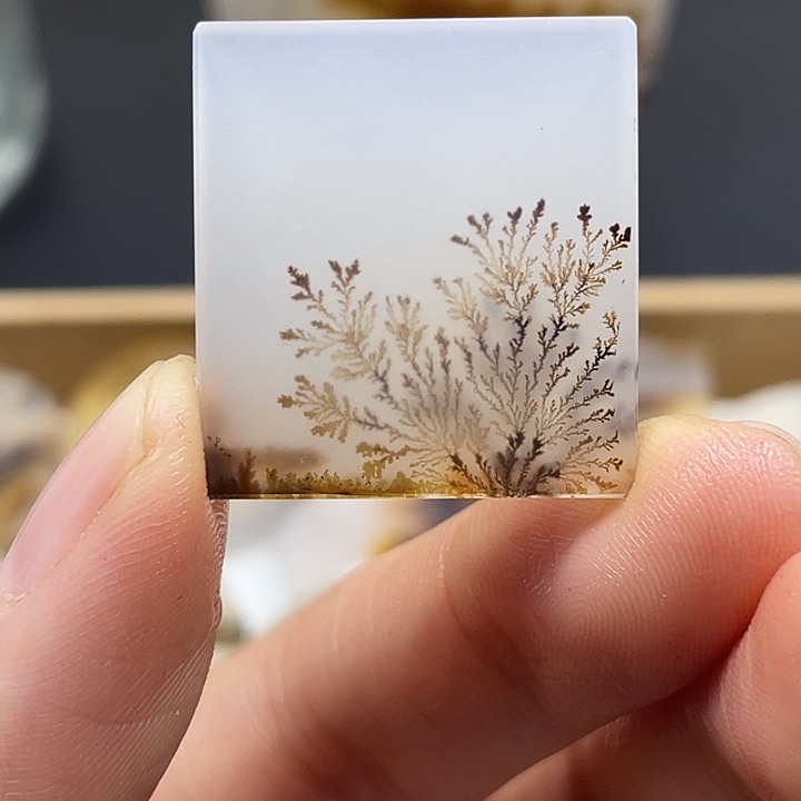 如***戏玛瑙/玉髓未镶嵌颈饰