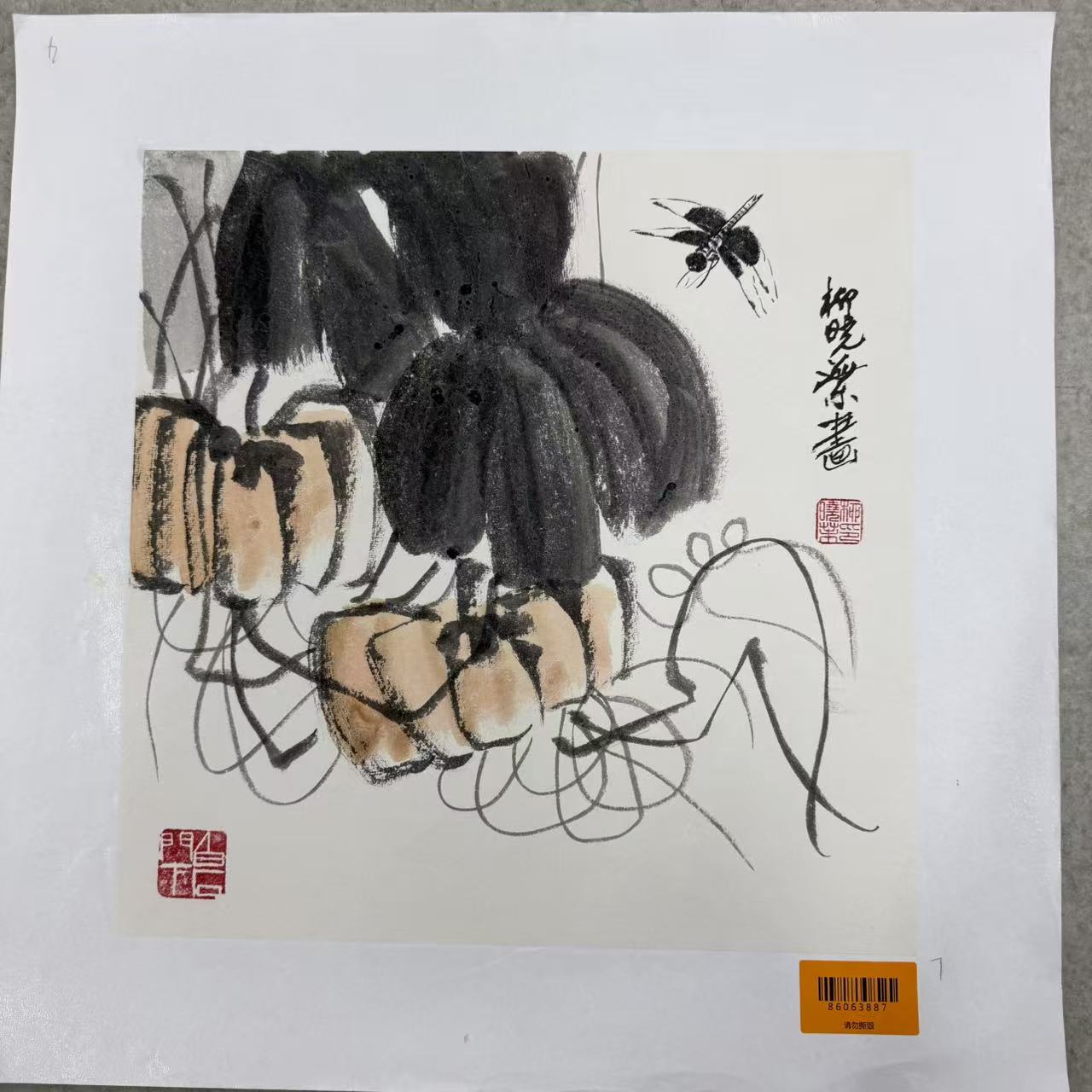 柳晓叶绘画1pc花鸟
