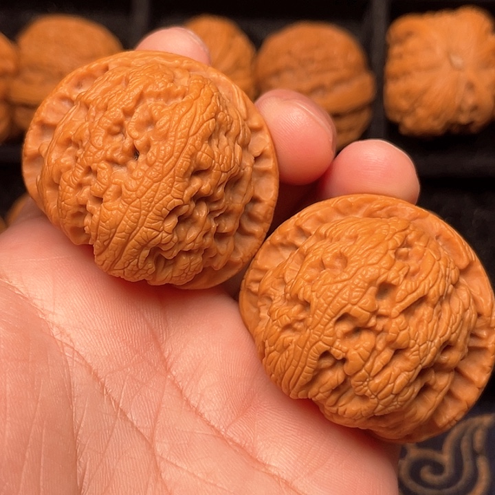 文玩核桃把件42尺寸金蝉背