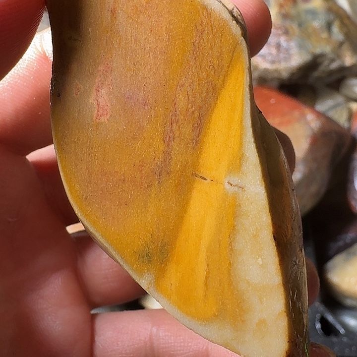 寿山石寿山石的种类