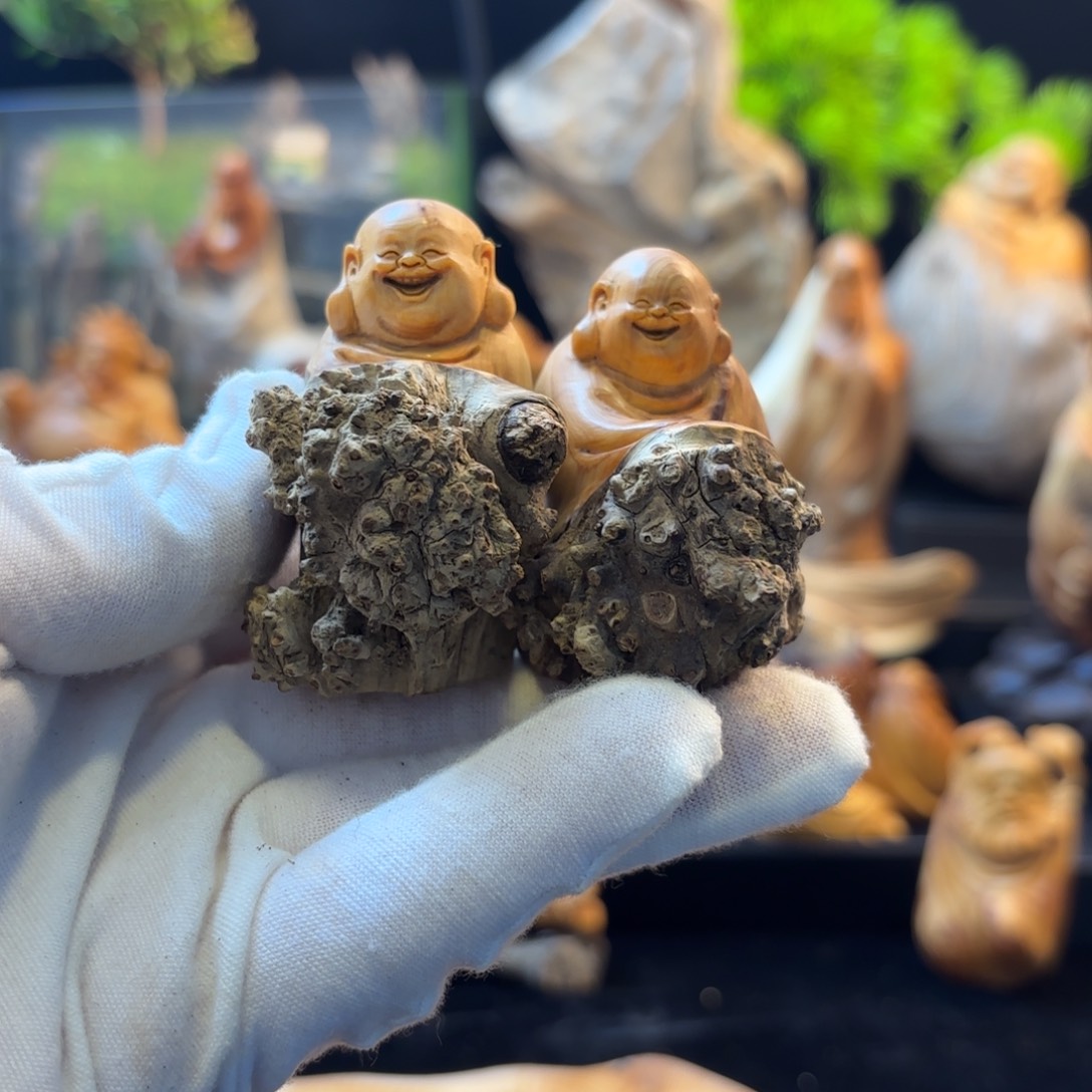 大***海柏木111111111111