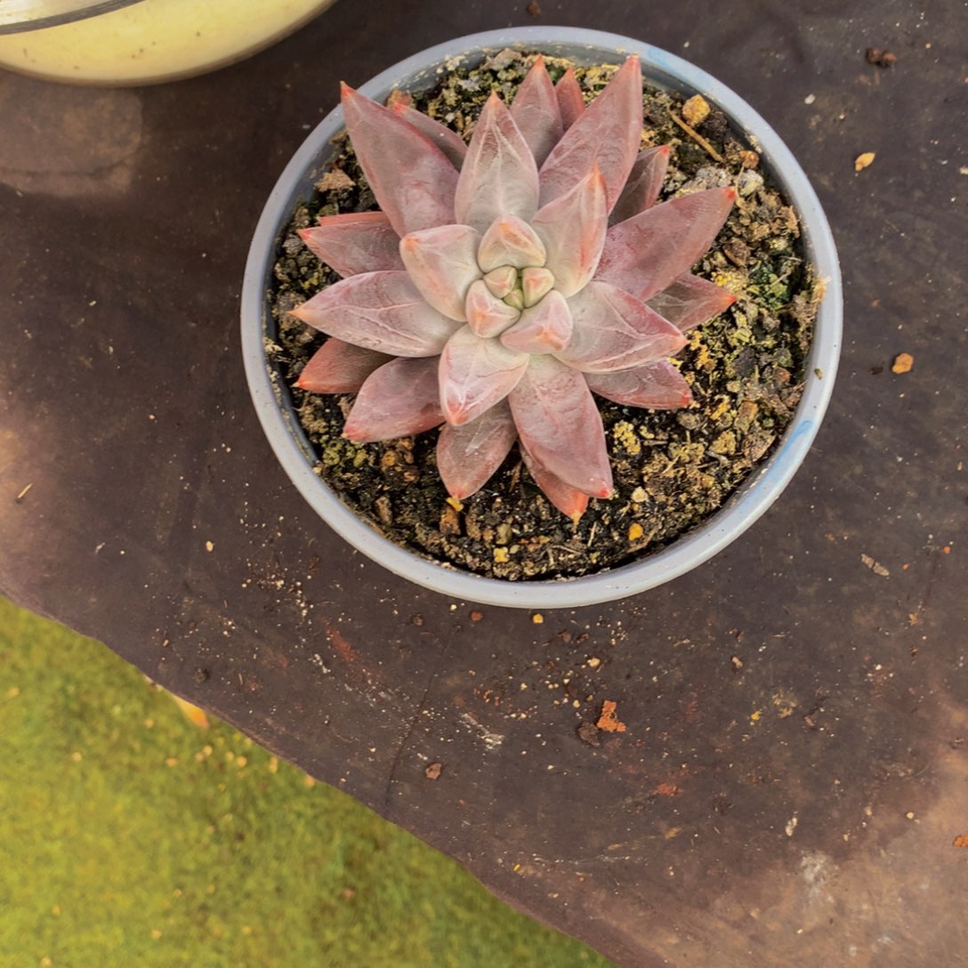 林***默啊哈哈哈哈哈哈哈哈哈哈哈哈哈