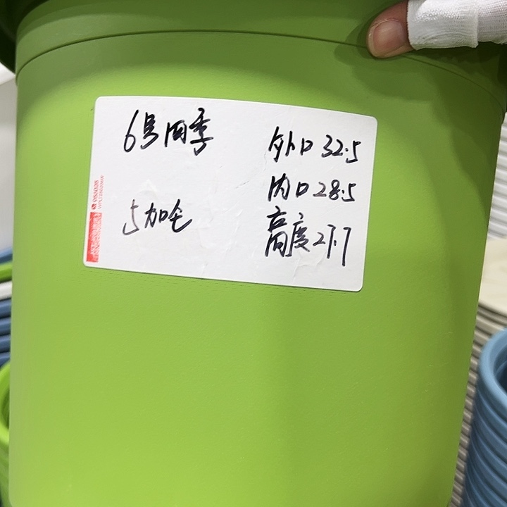 特价6号四季口32高28白色无托4只