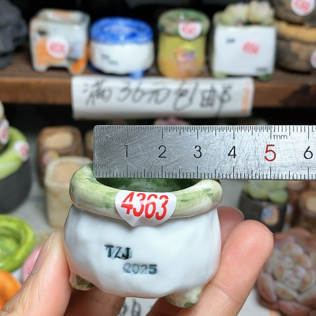 红陶拍5送一个小