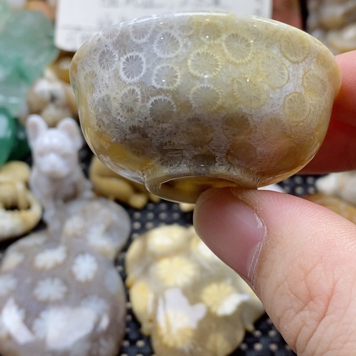 硅化珊瑚（珊瑚玉）颈饰未镶嵌