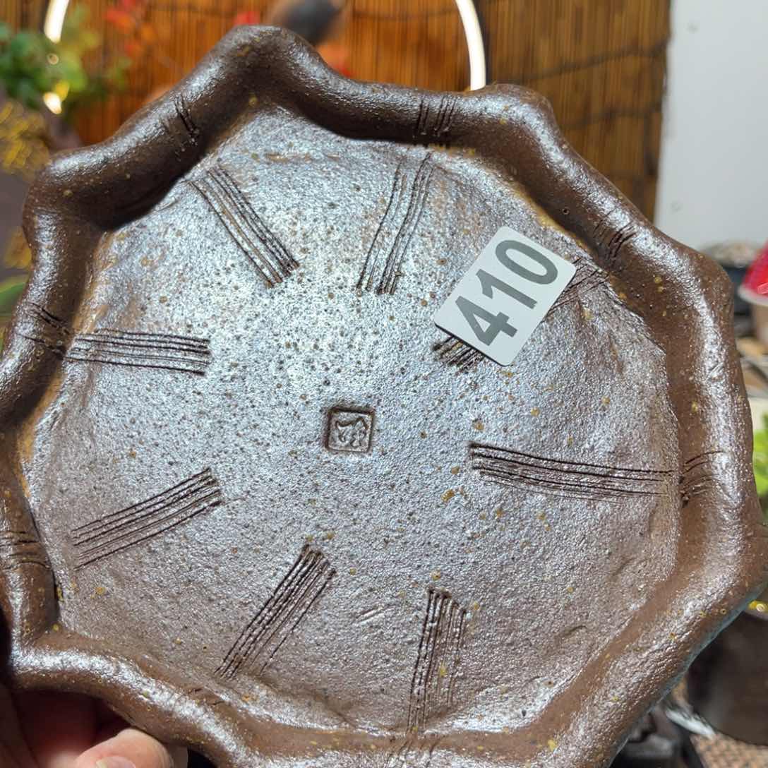 木村信弘柴烧保平