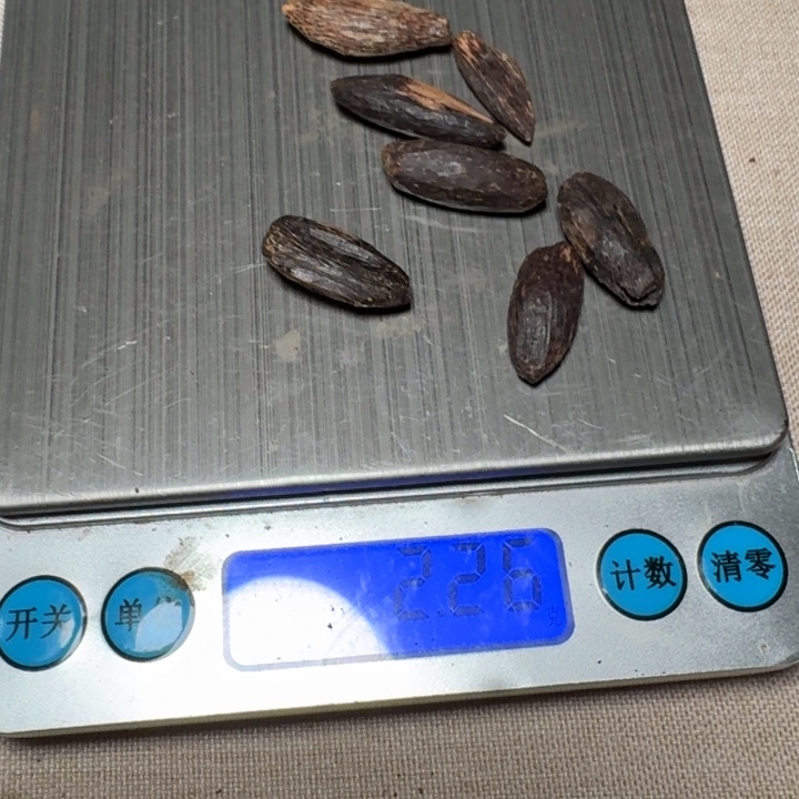 收****沉香碎屑沉香瓜子料