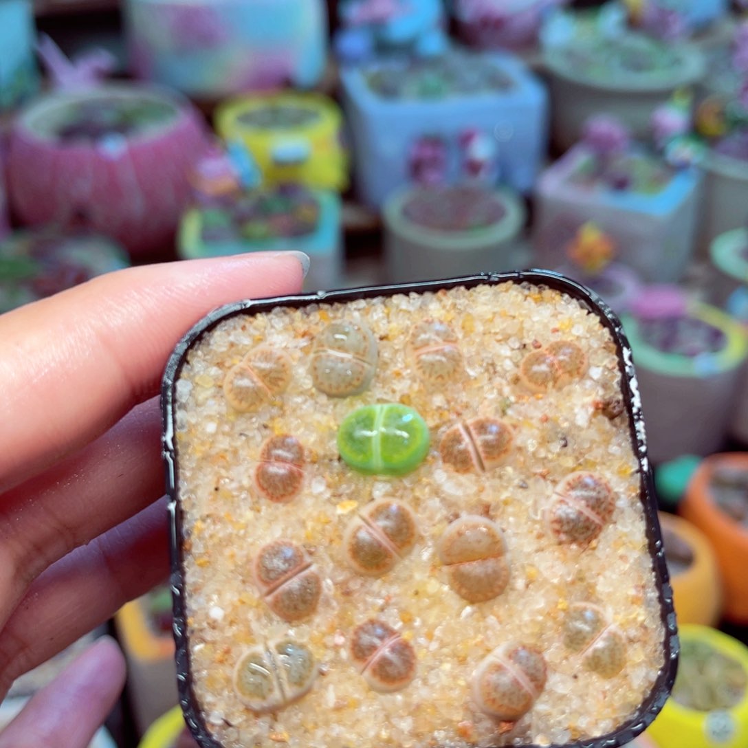 549。888888888888888888