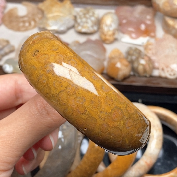 硅化珊瑚（珊瑚玉）手镯未镶嵌57