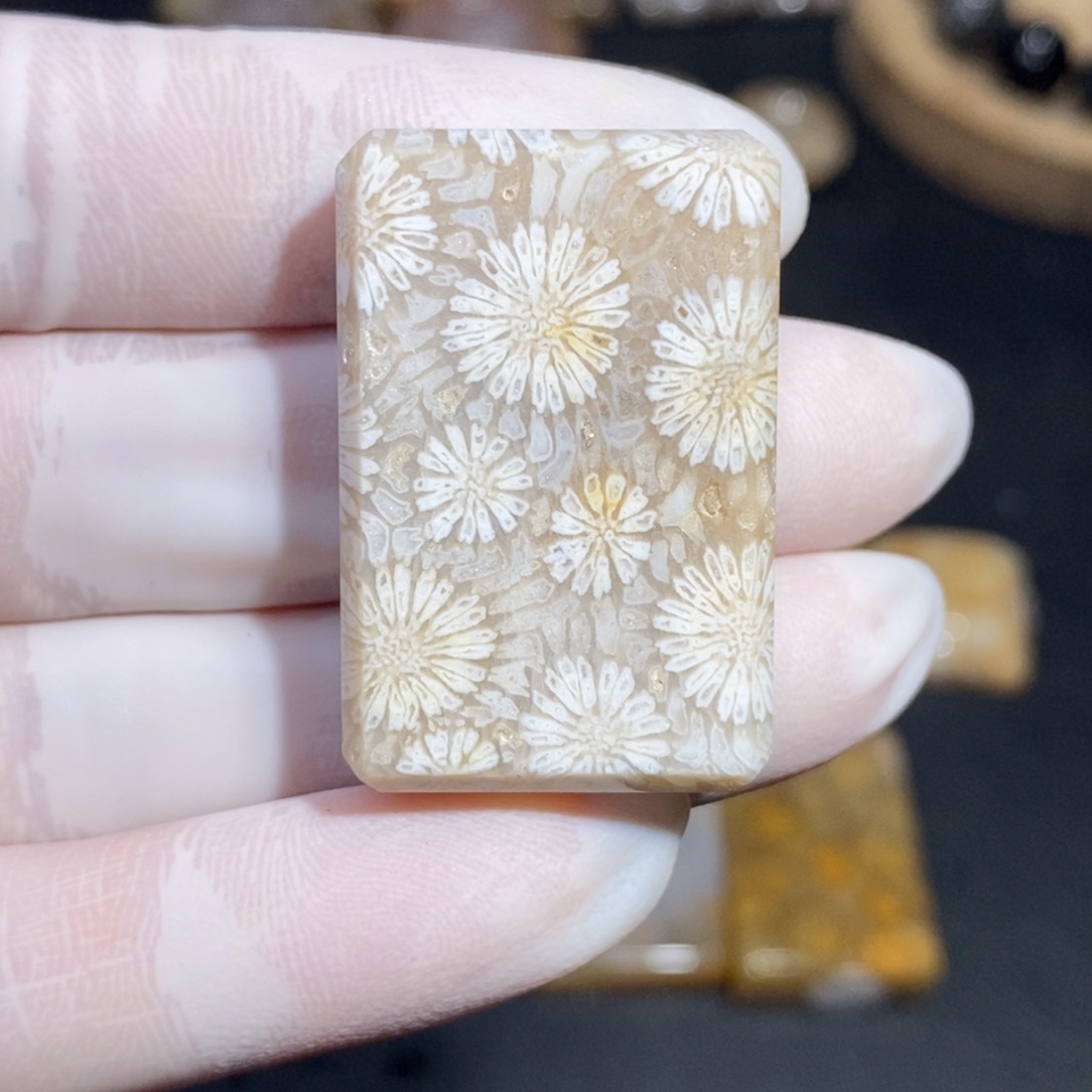 【闪购商品】硅化玉珊瑚玉未镶嵌