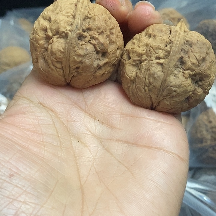 把件文玩核桃云南铁核桃基地52