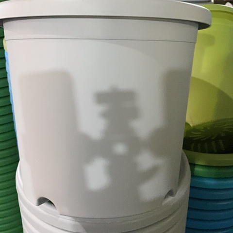 树脂微瑕5#无托灰白6个