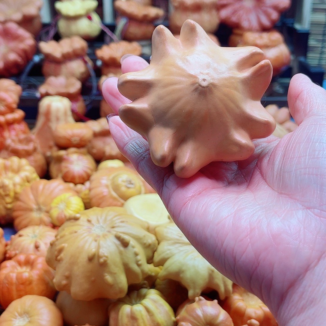 反***钟大叶紫檀（黑酸枝木类）