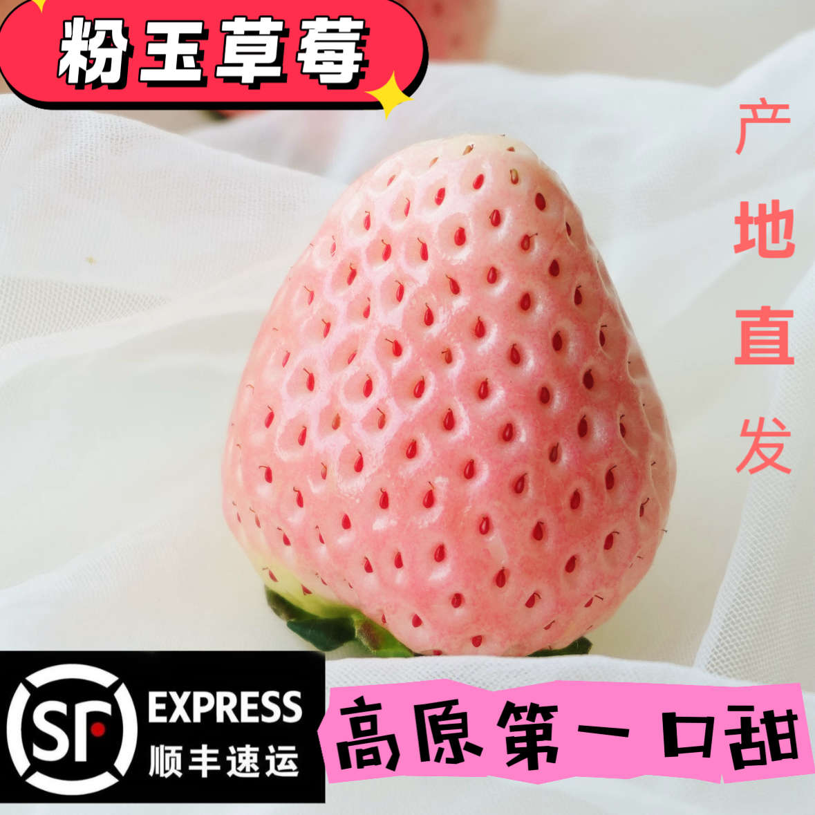 云南高原粉玉草莓软糯香甜