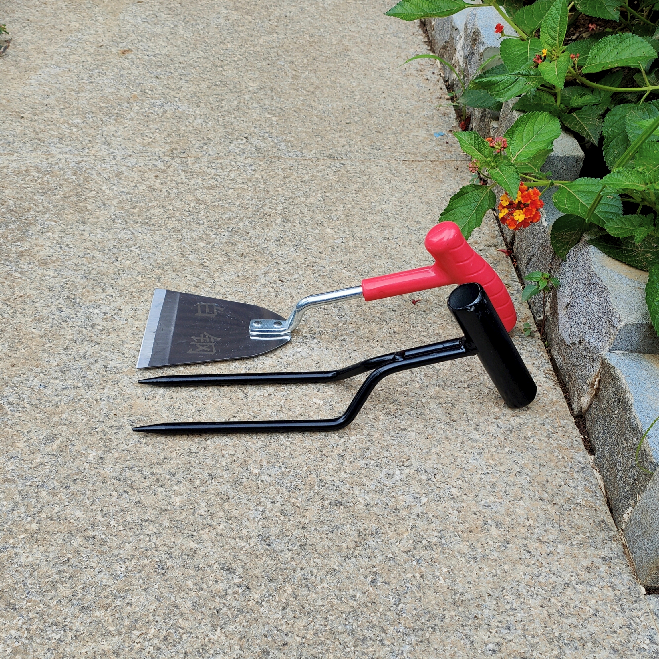 手持两齿松土叉种菜(专利)松土省劲不锈钢铲除草松土挖坑