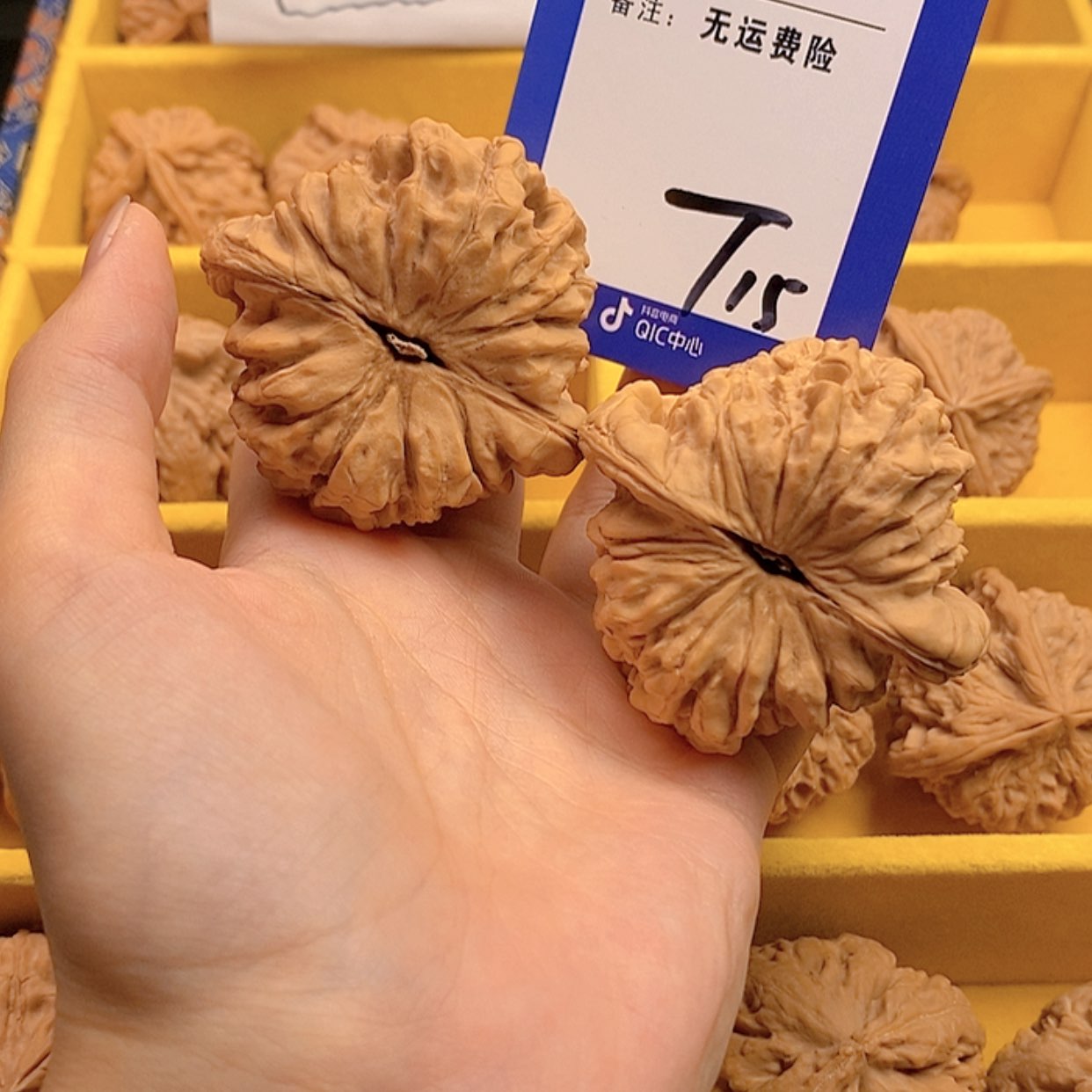 【闪购商品】文玩核桃把件陶***下文玩核桃龙鼎15