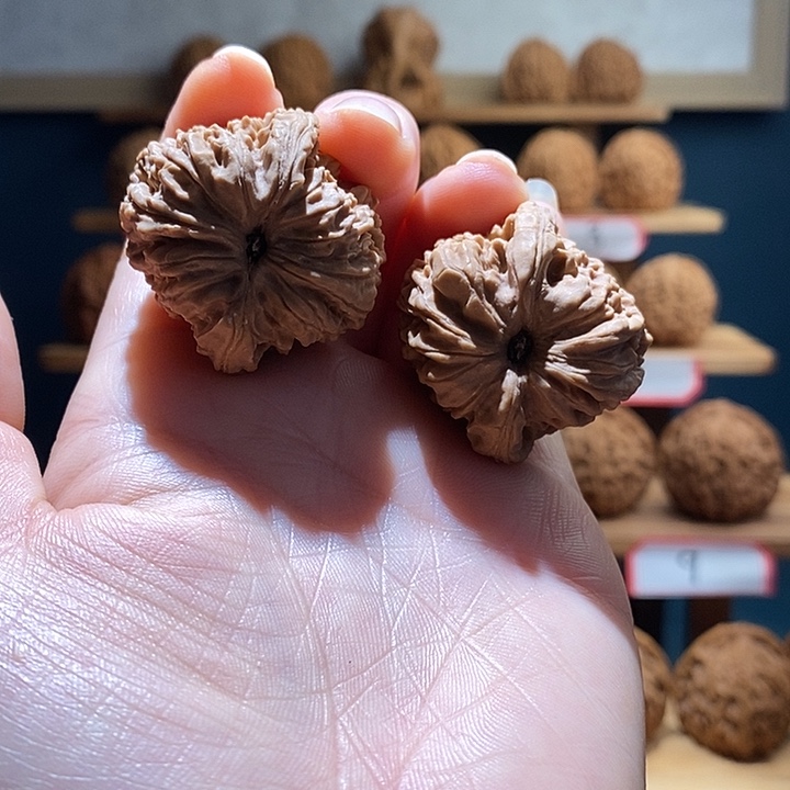 好***生南将石文玩核桃福利