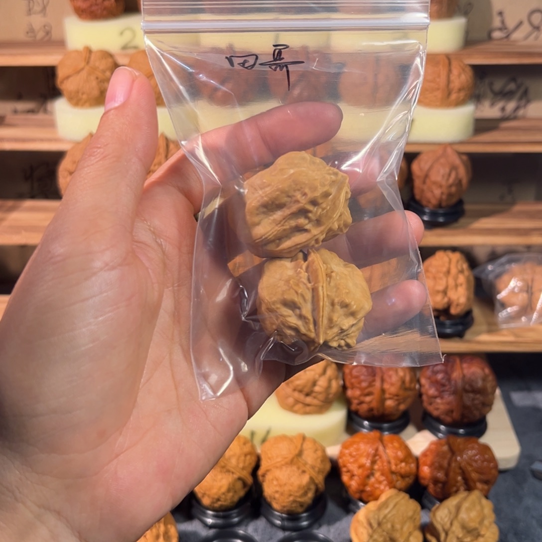 甲壳虫大尺寸送田哥