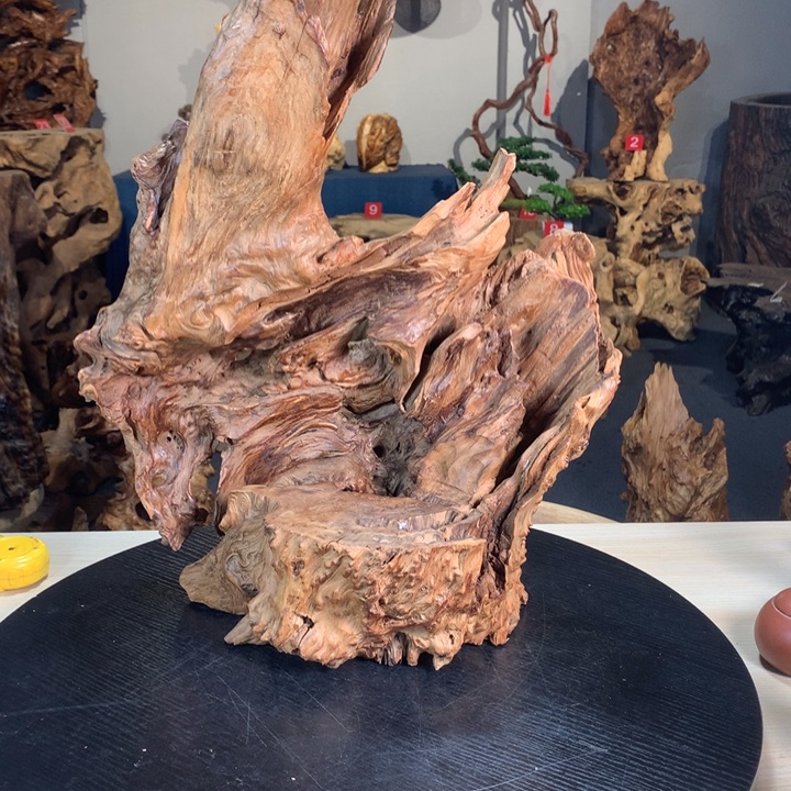 笑***笑888888888888888888