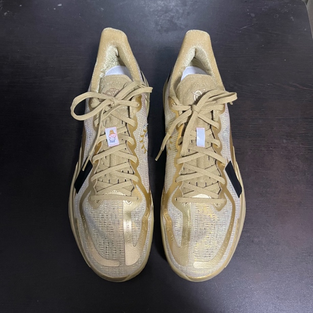 伽马金乌 47.5码无配盒 成色新