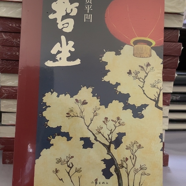 暂坐   平装带塑封