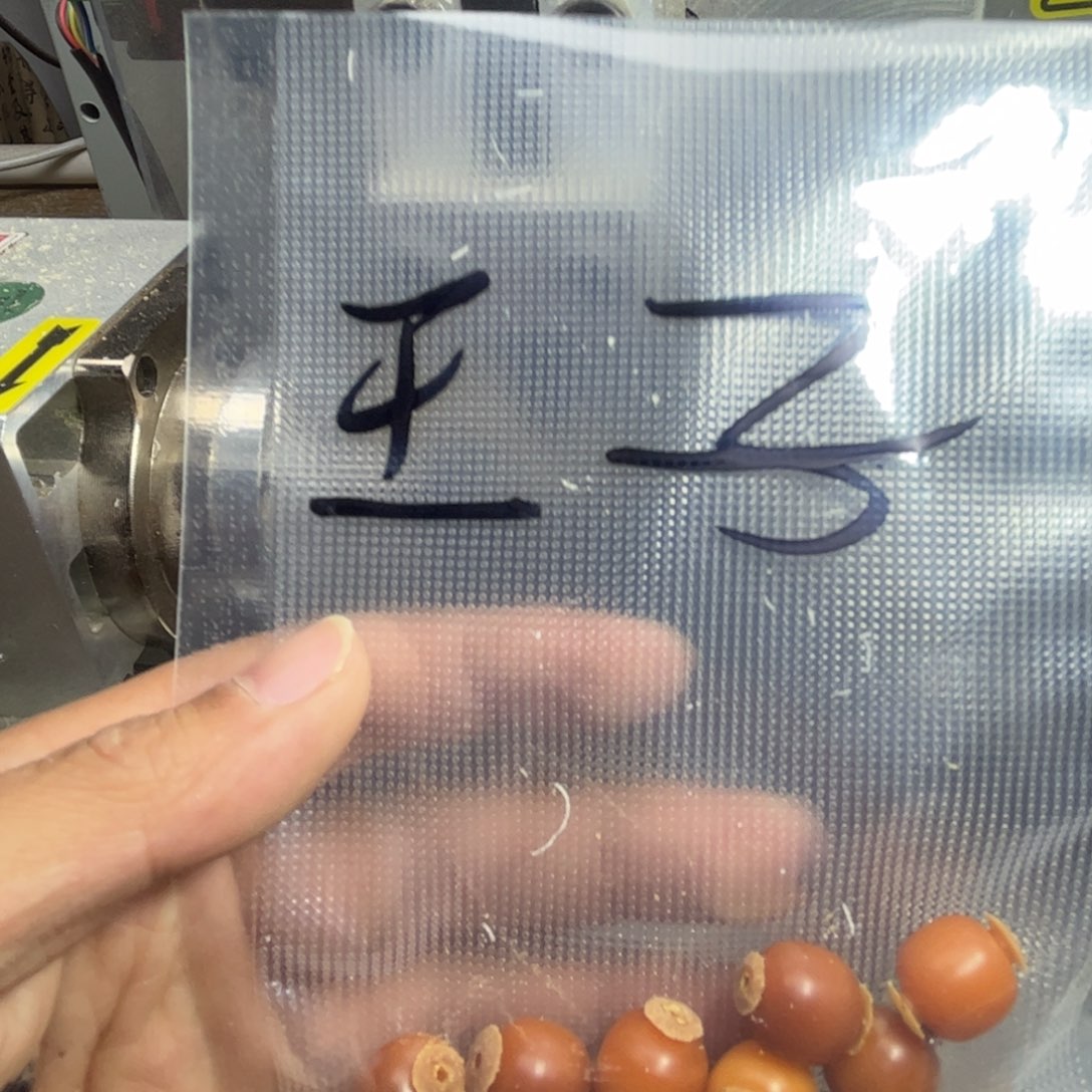 王***子吊坠菩提根/象牙果