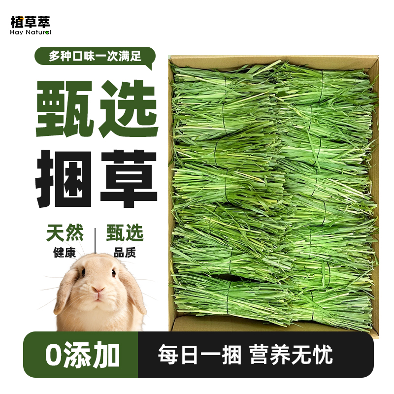 提摩西草兔子草扎捆主食草晒干提草小麦草美提苜蓿草澳麦混合草料