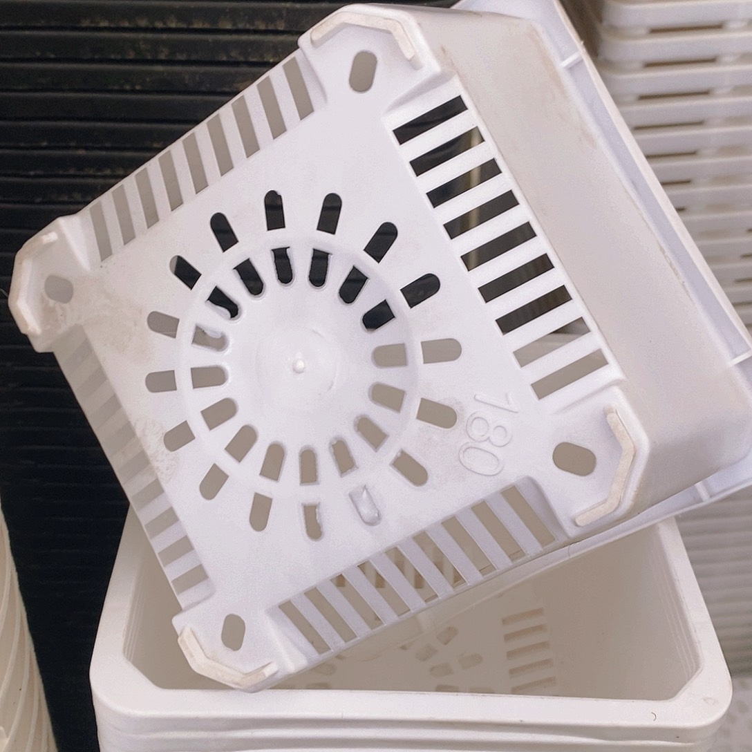 塑料新180白方盆 10个