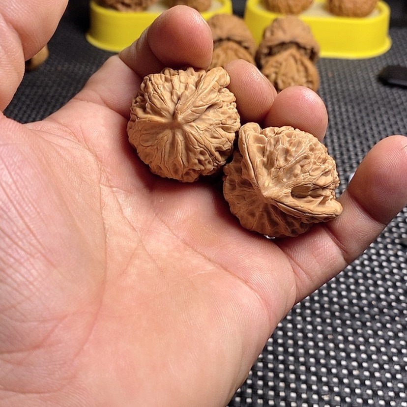 【闪购商品】文玩核桃吊坠满****红精品课程的教学工作和