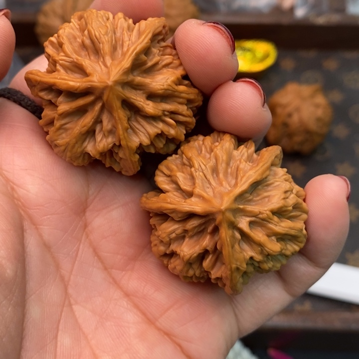 核桃野生帝王三棱39尺核桃